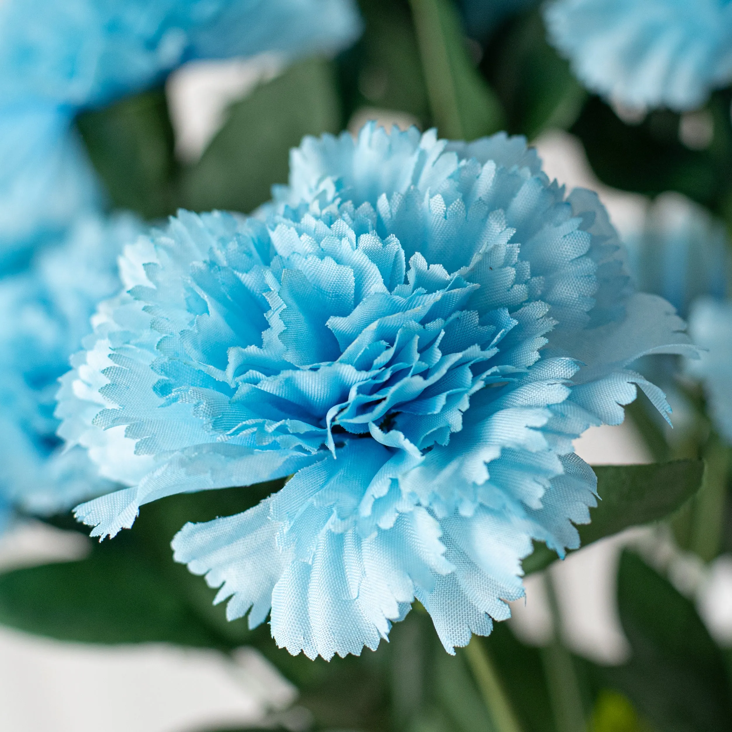 17" Colorfast Carnation Bush: Blue