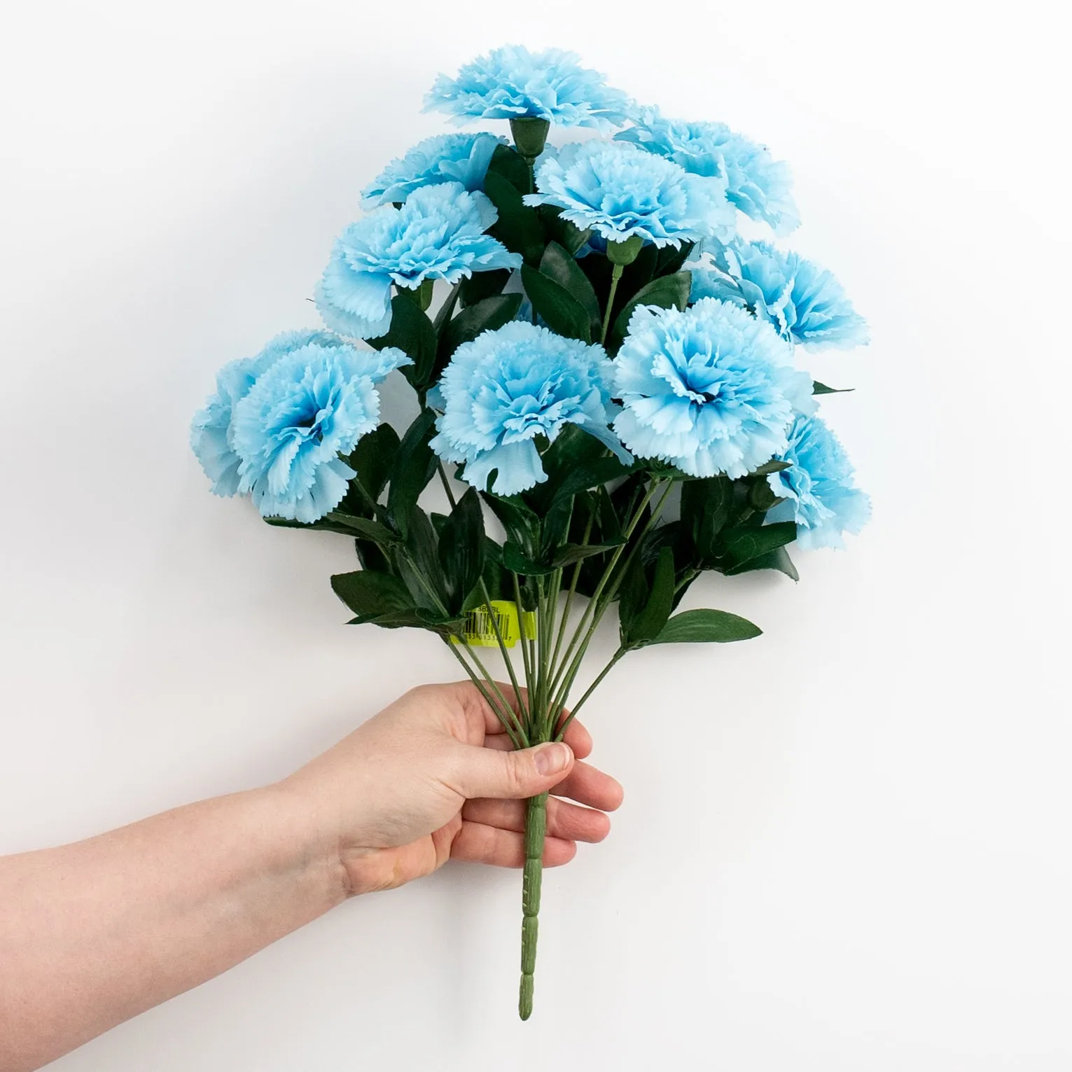 17" Colorfast Carnation Bush: Blue