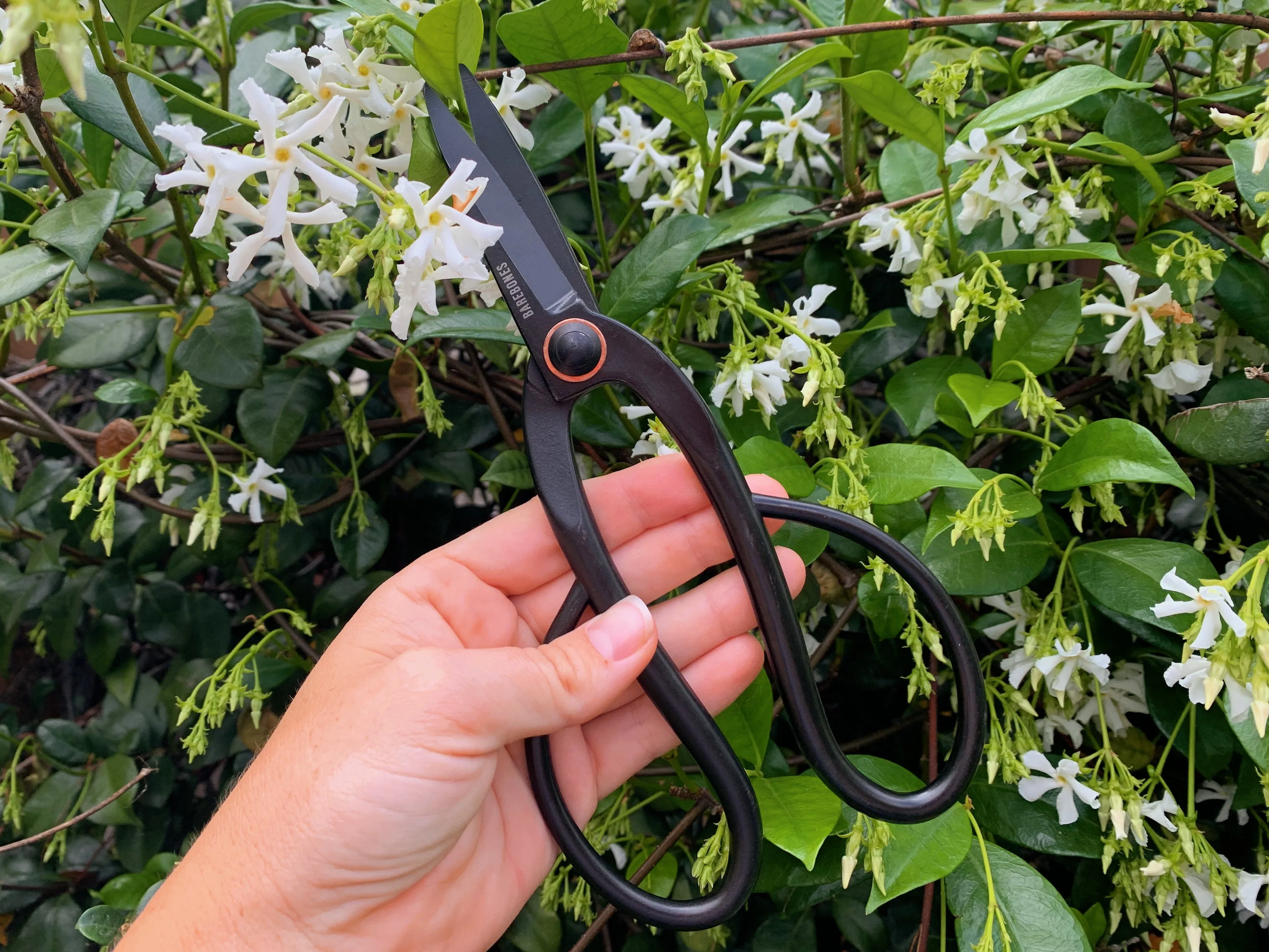 Barebones  - Artisan Pruning Shears