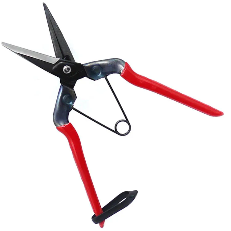 Chikamasa Bonsai & Garden Shears