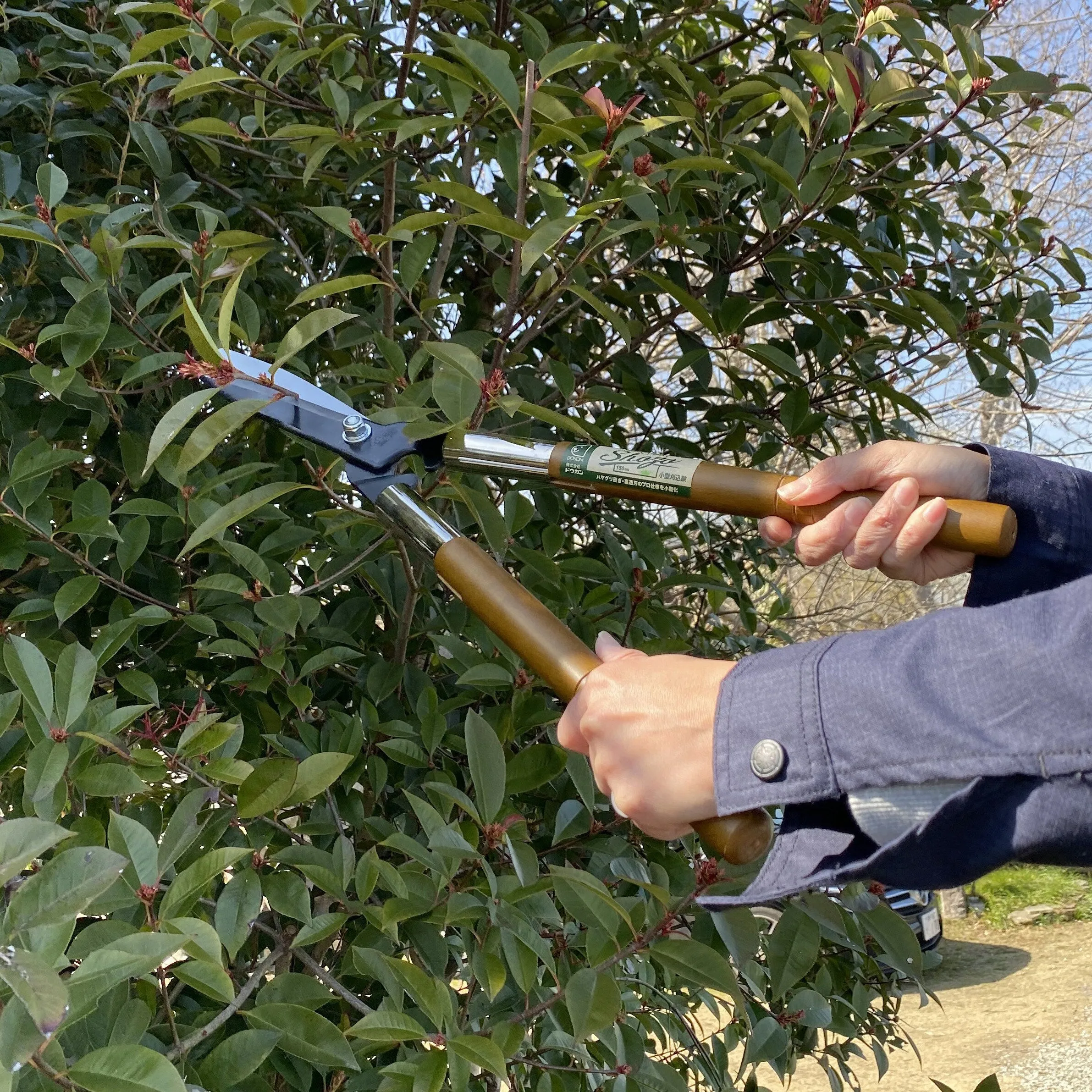 Doukan "Shozo" Small Trimming Shears, Pruning Shears ,150mm