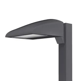 Invue Lighting CCP ClearCurve Pedestrian