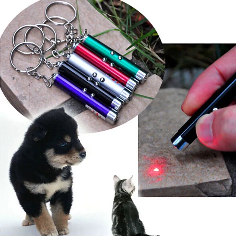 Laser Pointer for Cats