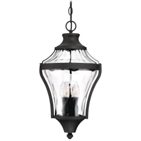 Libre 4 lights Outdoor Hanging Lantern Black finish