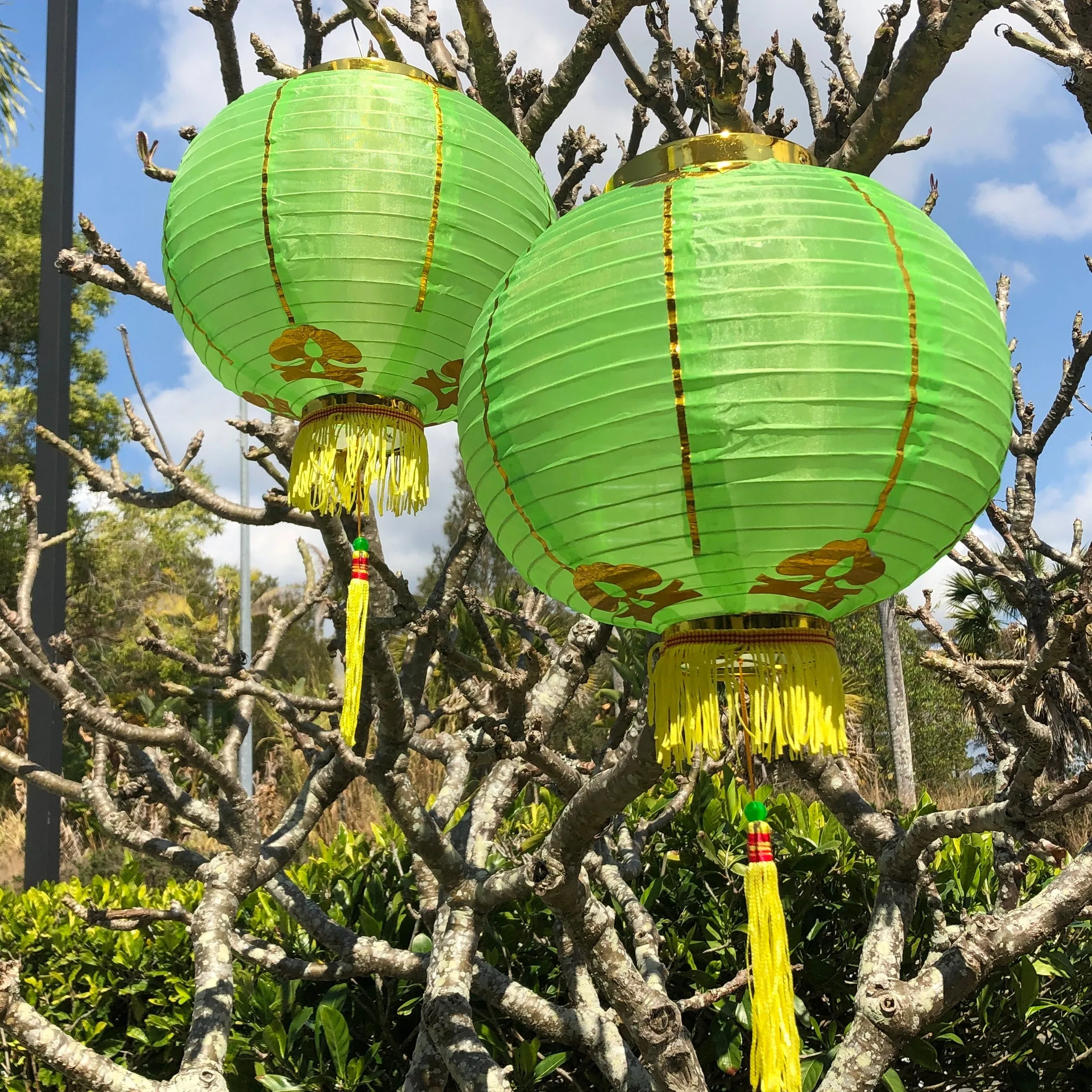 Medium Chinese Lanterns (30cm) - pack 2 nylon lanterns