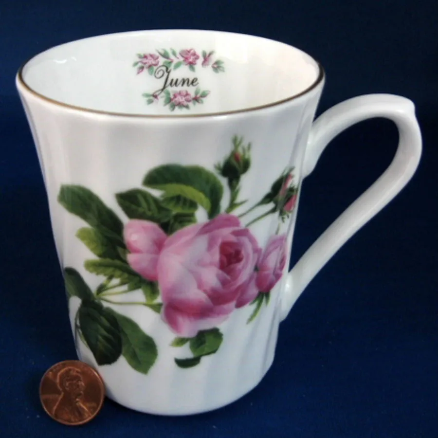 Mug June Pink Roses Butchart Gardens Victoria Regency England Bone China 1980s