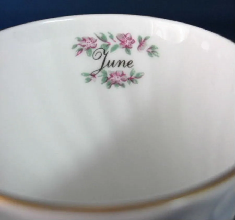 Mug June Pink Roses Butchart Gardens Victoria Regency England Bone China 1980s