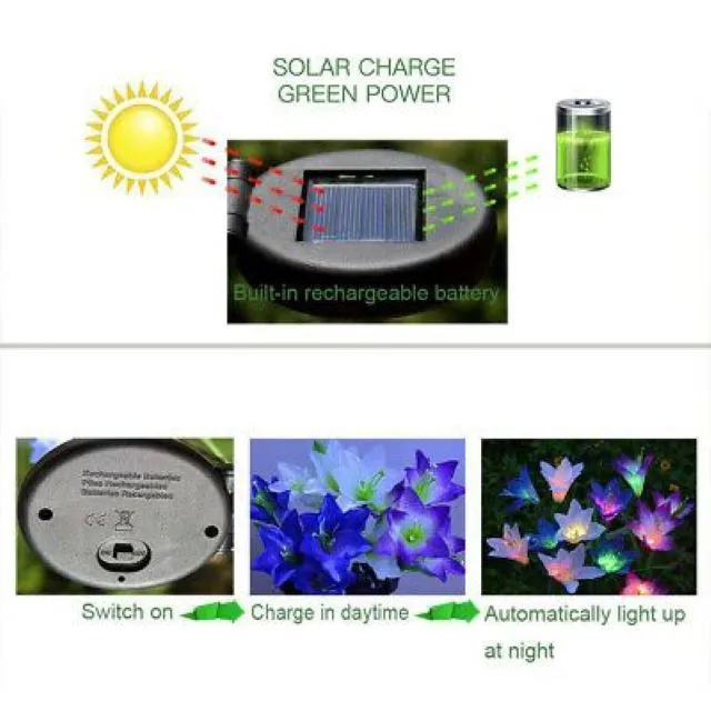 Pack of 2 Solar Flower Garden Lights