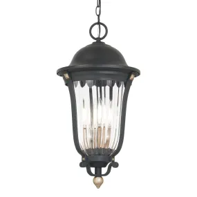 Peale Street 4 lights 12 in. Outdoor Hanging Lantern Black & Gold finish