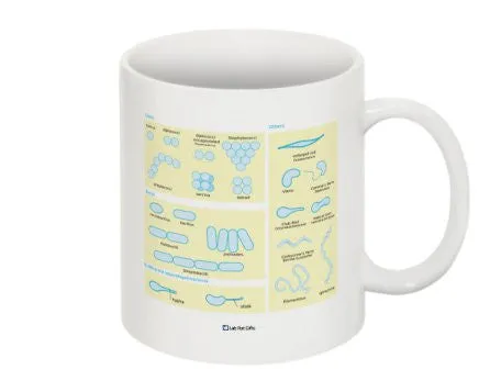 "Bacteria Diagram" - Mug