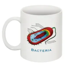 "Bacteria Diagram" - Mug