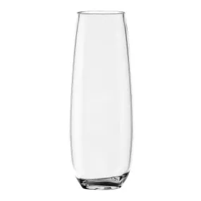 Shatterproof Tritan 10oz Stemless Flute