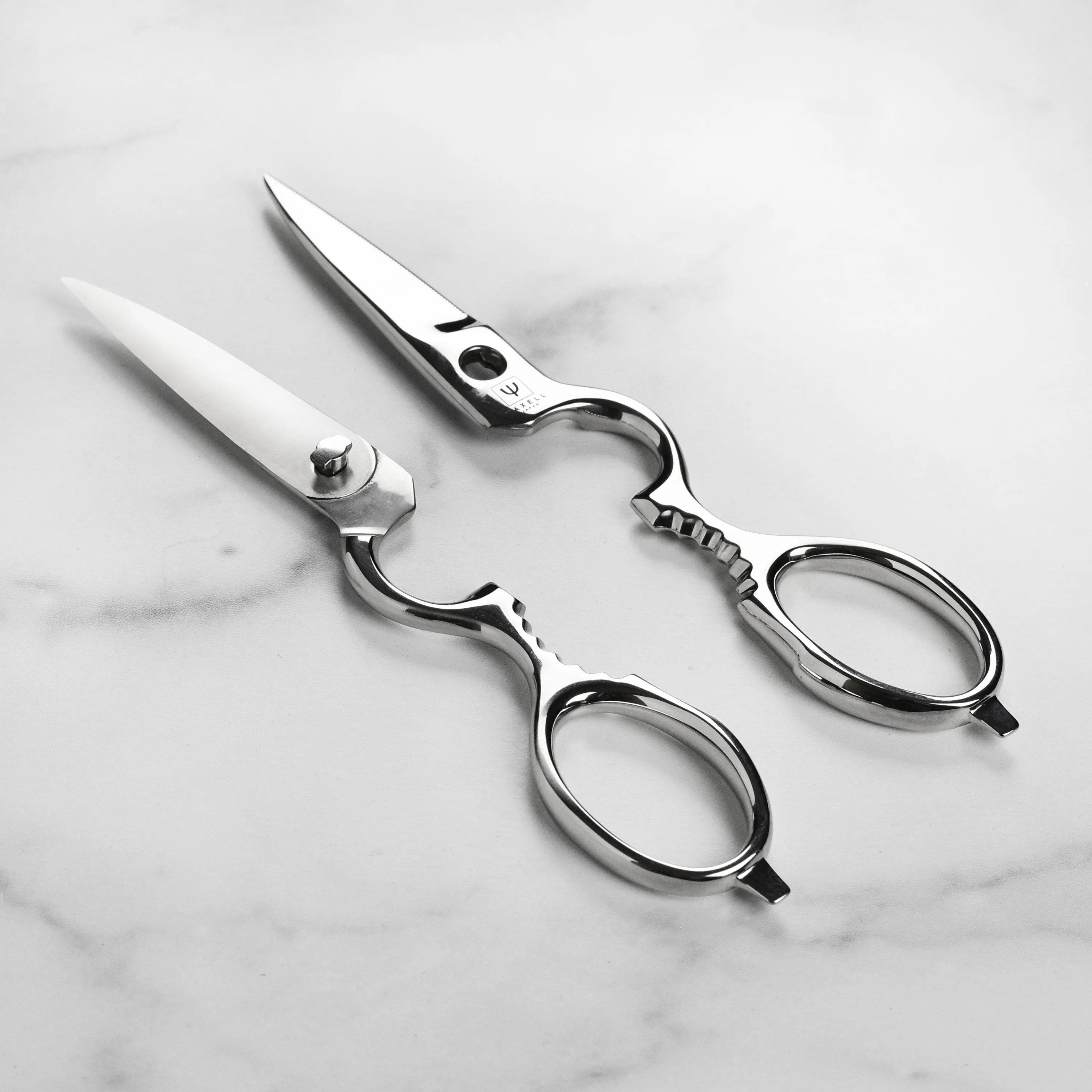 Yaxell Stainless Steel Take-Apart Kitchen Shears